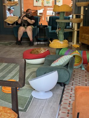 Catzen Coffee by null