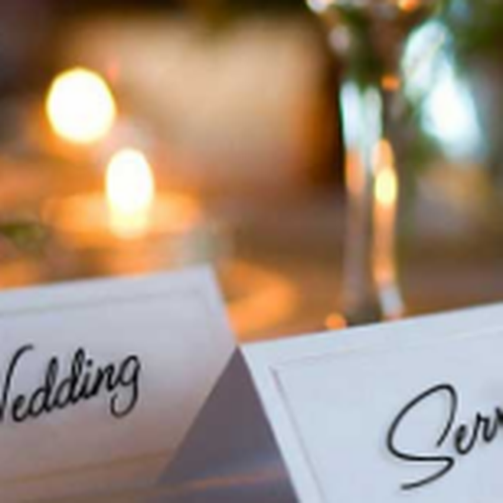 Bee Movie Wedding | TikTok, image size:1000x1000