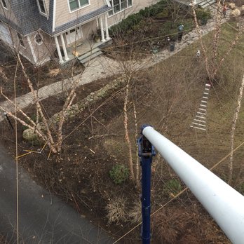 Cliff Side Tree Service - Tree Services Near Me