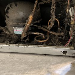 Guy Appliance Repair and Sales - Refrigerator maintenance
Before