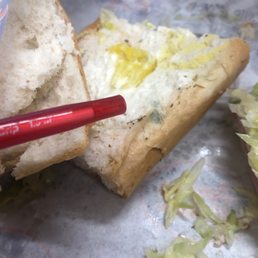 Mold in the bread