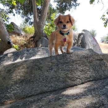 Lost Lake Park - Parks Near Me - Friant, California