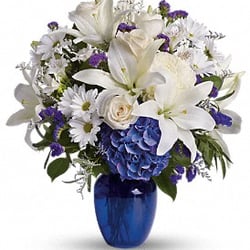 Raes Dillon-Chapin Florist