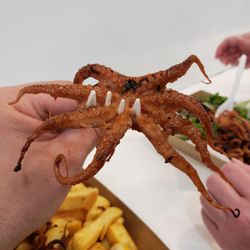 Bondi Surf Seafoods - Sweet/savory octopus close-up