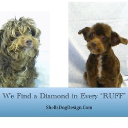 Shell's Dog Design - On~line booking available
