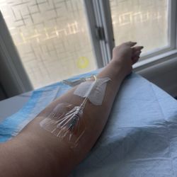 Fluid Aesthetics & Wellness