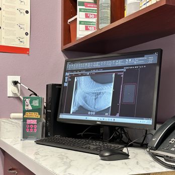Pet Check Engine Animal Hospital - Veterinarians Near Me - Palmdale, California