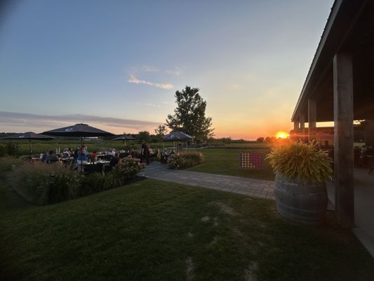 Queenston Mile Vineyard by null