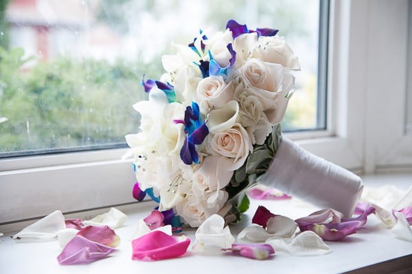 Photo of CMJ Photo and Video Studio - South Ozone Park, NY, US.