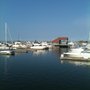 Photo of Gaslight Pointe Marina