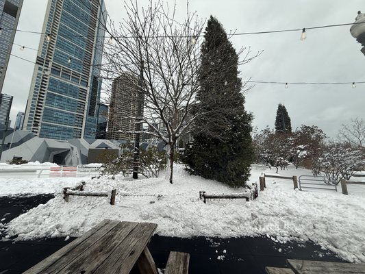 Maggie Daley Park Ice Skating Ribbon by null