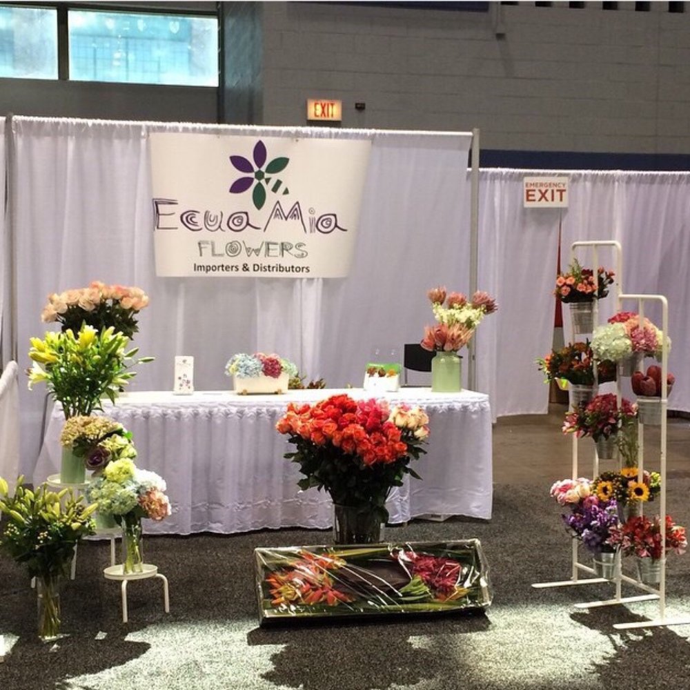 Flower Distributors In Miami Best Flower Site