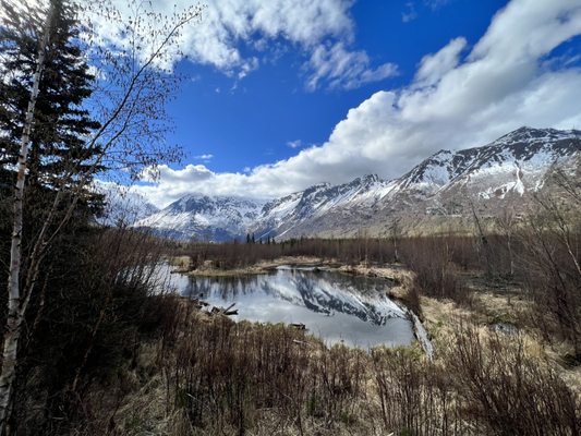 Eagle River Nature Center by null