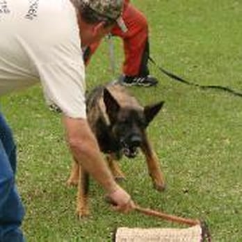 New Sentry K9 - Pet Training Near Me - Brooksville, Florida New Sentry K9 - Pet Training Near Me - Brooksville, Florida