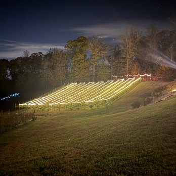 Potomac Point Winery - Wineries Near Me - Stafford, Virginia Potomac Point Winery - Wineries Near Me - Stafford, Virginia