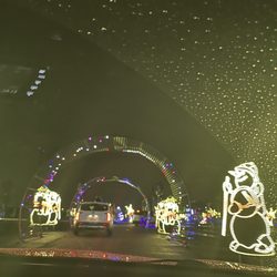 World of Illuminations