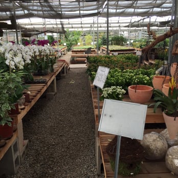 OC Succulents - Nurseries & Gardening Near Me - Irvine, California OC Succulents - Nurseries & Gardening Near Me - Irvine, California