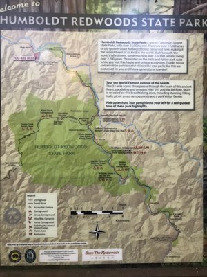 Humboldt Redwoods Inn by null