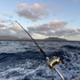 Photo of Hawaiian Style Fishing