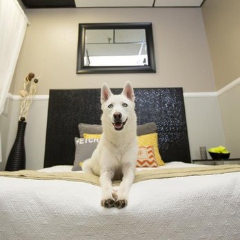 Wag Hotels - 161 Photos 343 Reviews - Pet Groomers - 1759 Enterprise Blvd West Sacramento Ca - Phone Number