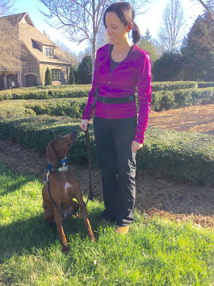 TOP DOG TRAINING Updated August 2024 9831 Spring Harvest Dr