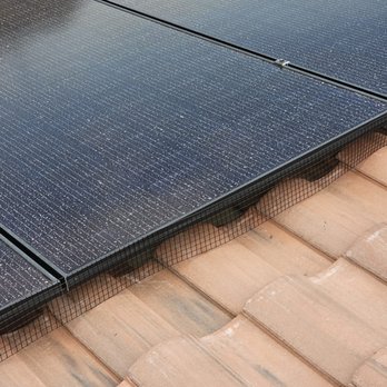 Revive Pro - Solar Panel Cleaning Near Me Revive Pro - Solar Panel Cleaning Near Me