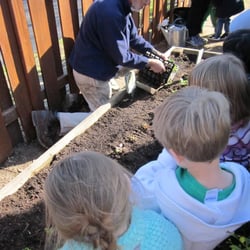 Ethical Society Nursery School - Planting!