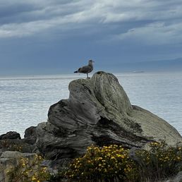 On the spit.
