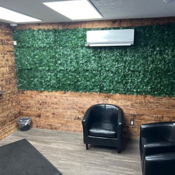 The Healing Treee - Lobby - Cannabis Dispensaries Near Me - Denver, Colorado The Healing Treee - Lobby - Cannabis Dispensaries Near Me - Denver, Colorado