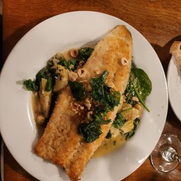 Rainbow Trout
