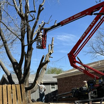 Nichols Tree and Lawn Care Services - Tree Services Near Me - Hartman, Arkansas Nichols Tree and Lawn Care Services - Tree Services Near Me - Hartman, Arkansas