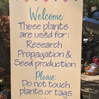 Bach's Cactus Nursery - Some areas are not for sale - Nurseries & Gardening Near Me - Tucson, Arizona