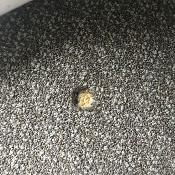 Alouette Beach Resort - Holes in Carpet - Resorts Near Me - Old Orchard Beach, Maine