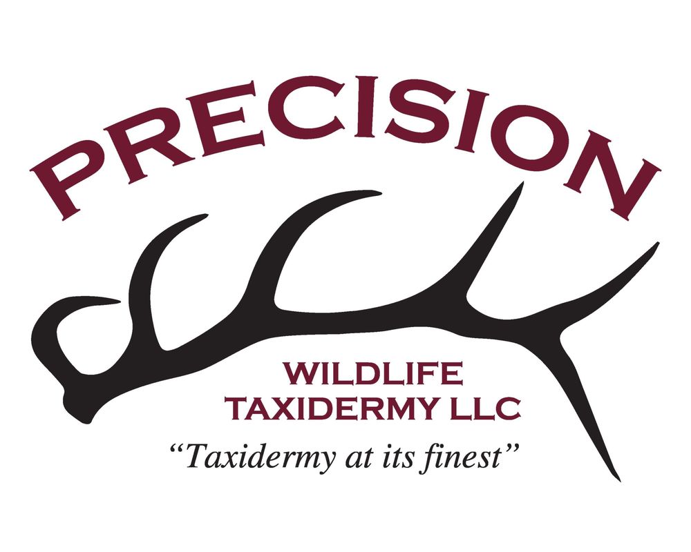 PRECISION WILDLIFE TAXIDERMY Updated May 2024 Request Information
