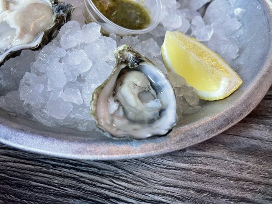 The Dive Oyster Bar by null
