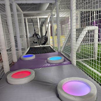 Playhub - Obstacle-style area and zebra that kids can bounce on - Indoor Playcenter Near Me - Mission Viejo, California Playhub - Obstacle-style area and zebra that kids can bounce on - Indoor Playcenter Near Me - Mission Viejo, California