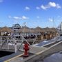 Photo of Safe Harbor New Port Cove