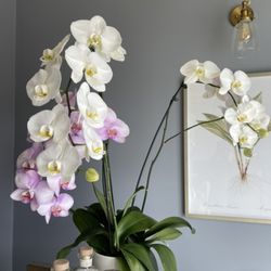 Heaven Therapeutic Massage - Have a nice day at Heaven therapeutic massage Encino.