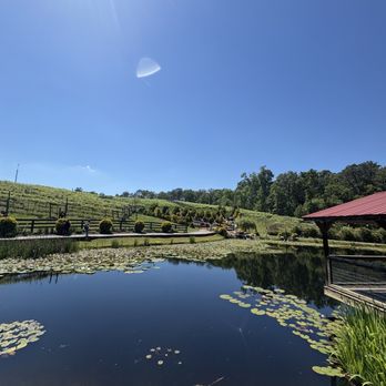 Big Door Vineyards - Pond - Wineries Near Me - White, Georgia