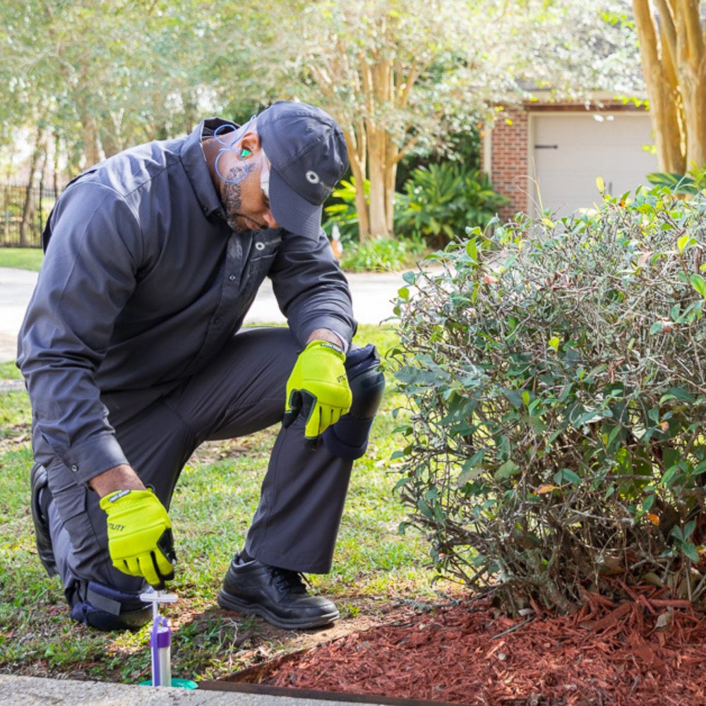 ALLGOOD PEST SOLUTIONS Updated September 2024 20 Photos 4500