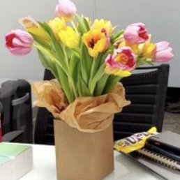 Tulip arrangement Tulip arrangement