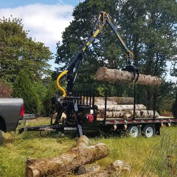 Corvallis Tree Care - We Haul Logs! - Tree Services Near Me - Albany, Oregon