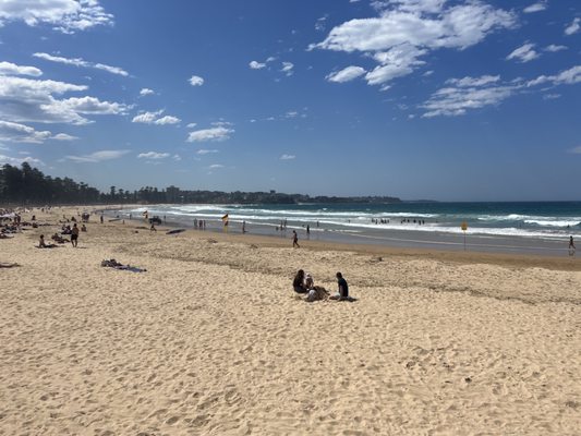 Shelly Beach by null