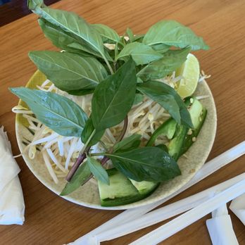 Taste of Pho - Basil and bean sprouts for pho - Vietnamese Near Me - Spring, Texas Taste of Pho - Basil and bean sprouts for pho - Vietnamese Near Me - Spring, Texas