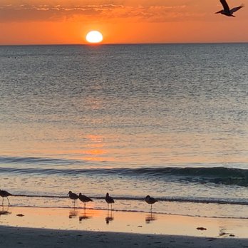 Indian Rocks Beach - Beaches Near Me - Indian Rocks Beach, Florida Indian Rocks Beach - Beaches Near Me - Indian Rocks Beach, Florida