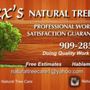 Photo of Alex's Natural Tree Care