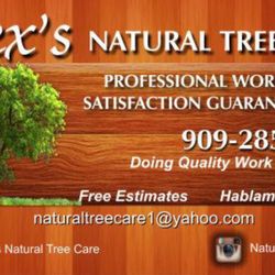 Alex's Natural Tree Care - 9092855302