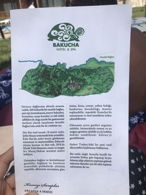 BAKUCHA Vineyard Hotel & SPA by null