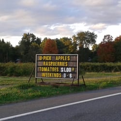 Yonder Farms - Pick your own apples, tomatoes, and raspberries