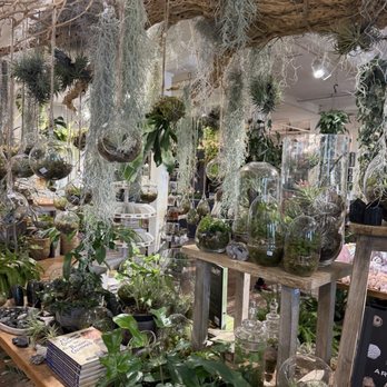 Seed To Stem - Antiques Near Me - Worcester, Massachusetts Seed To Stem - Antiques Near Me - Worcester, Massachusetts